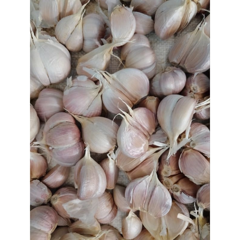 

BAWANG KATING SUPER 250 gram