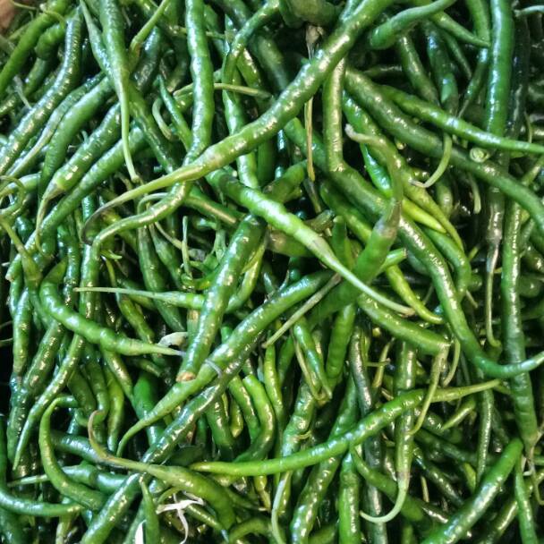 

SMA965 Stok terbaru Cabe Cabai Hijau Keriting 5 gr