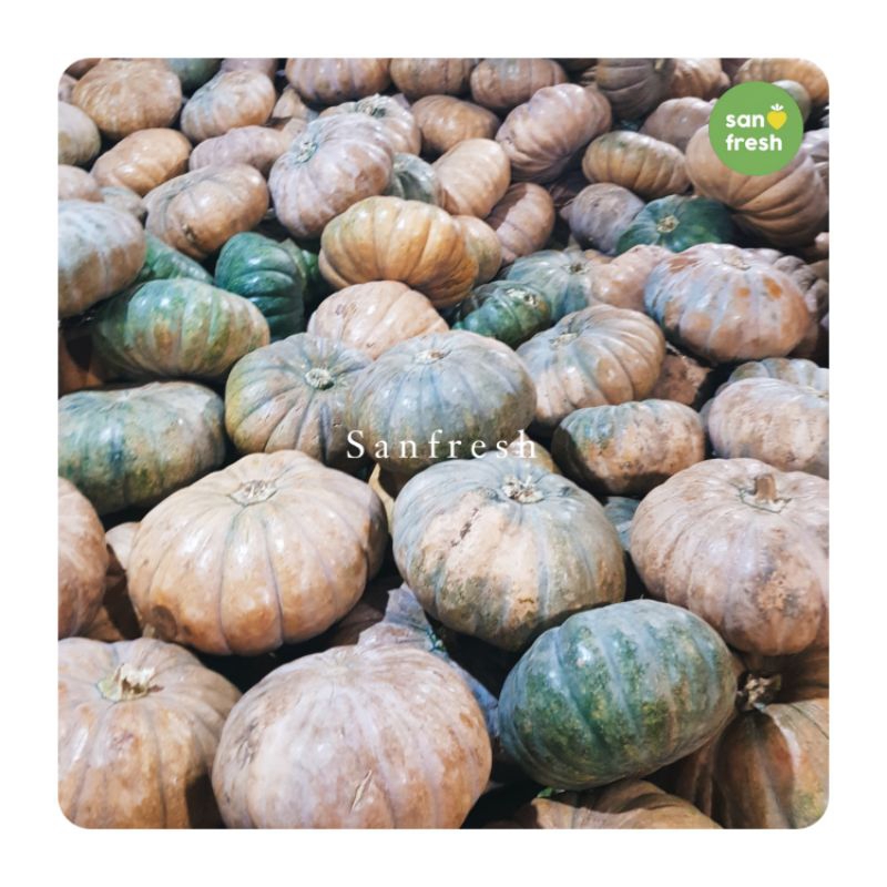 

Labu Kuning Segar dan Berkualitas Tinggi