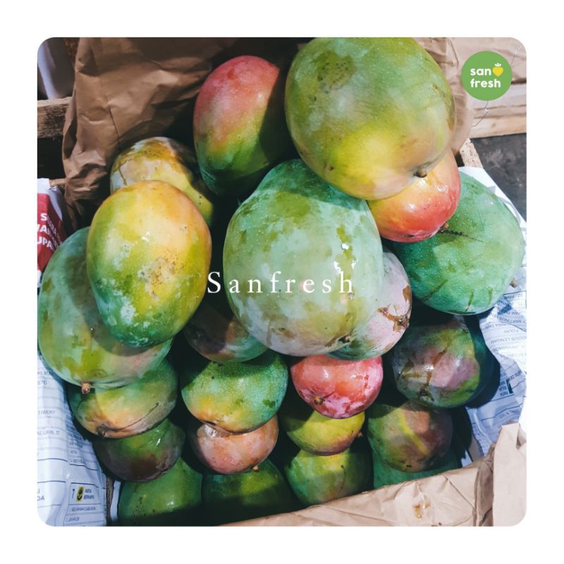 

Mangga Brazil Manis Menggoda - Sensasi Tropis yang Tak Terlupakan! - Sanfresh