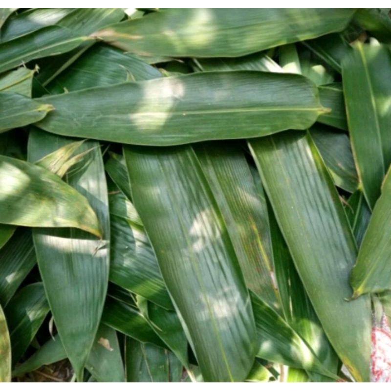 

daun bambu jumbo 100 pcs