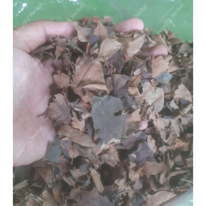 

Daun benalu jengkol kering 250g bersih original.