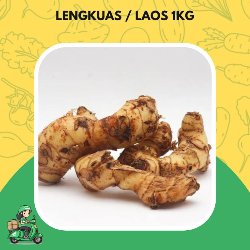 

lengkuas / Laos fresh 1kg