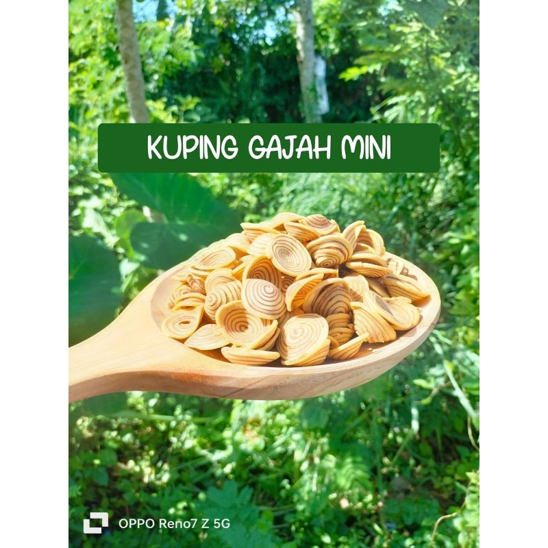 

KUPING GAJAH /CAMILAN MURAH/JAJAN LEGENDARIS KEMASAN 500GRAM