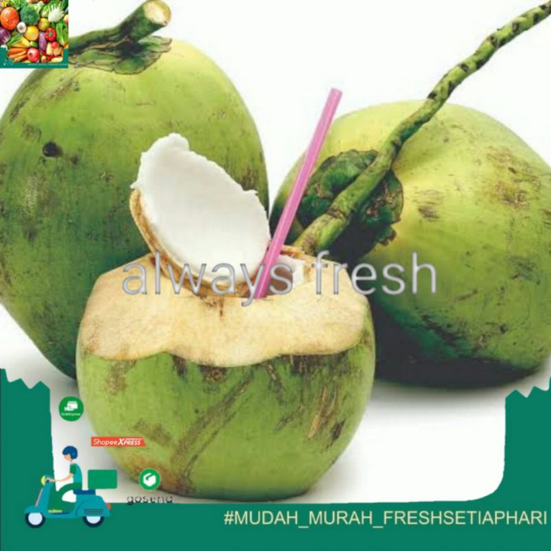 

- always fresh palembang