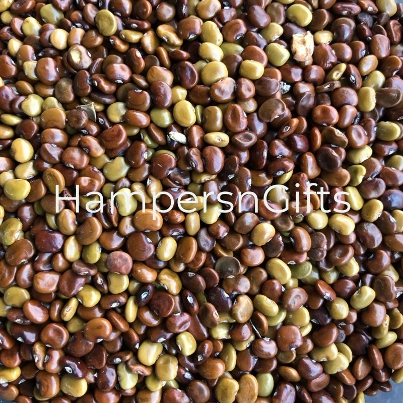 Benih CC Calopogonium Caeruleum Bibit Tanaman / Biji Kacang Kacangan