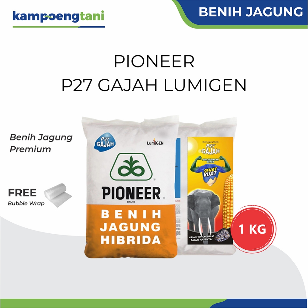 Kampoeng Tani - Benih Jagung Pioneer P27 Gajah Lumigen 1 Kg Bibit Jagung Hibrida Tahan Bulai