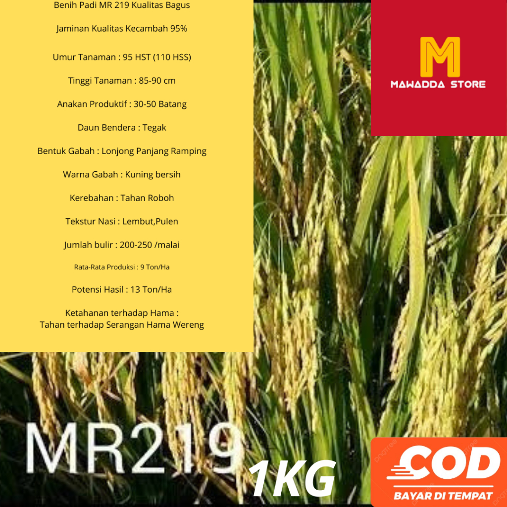 BIJI UNGGUL MR219, 1KG.