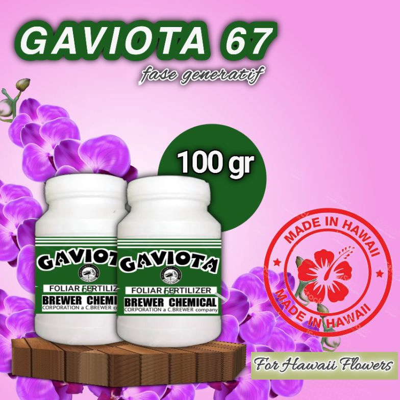 ART T64Q Gaviota 67 Pupuk Anggrek untuk pembungaan 1gr