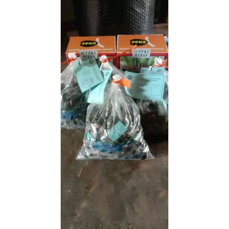 ppks simalungun unggul