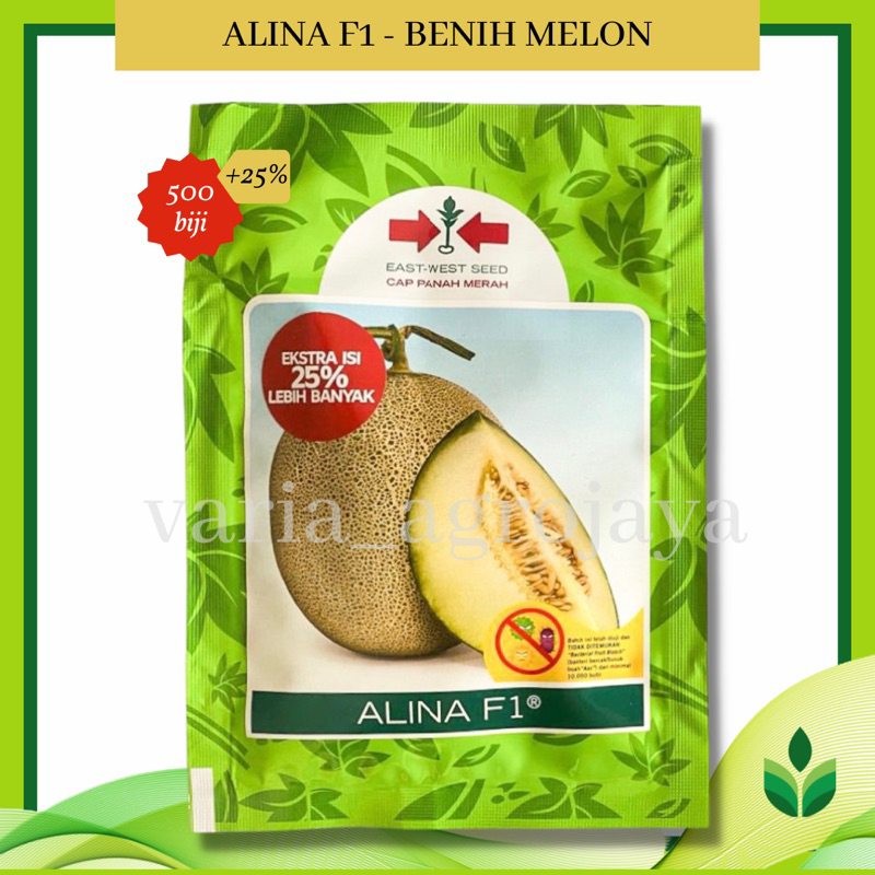 Benih Bibit Melon Alina F1 - Cap Panah Merah