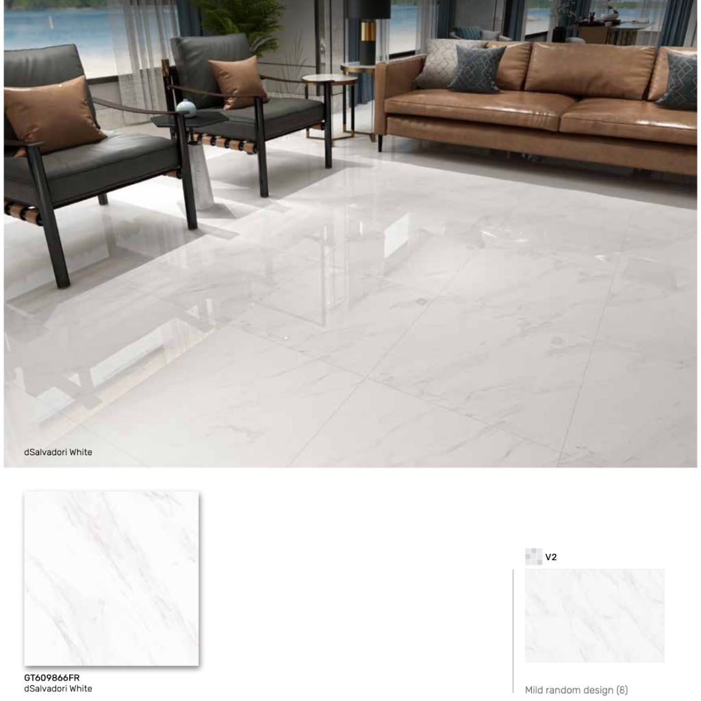 GRANIT dSalvadori White 60x60 Roman GT609866FR