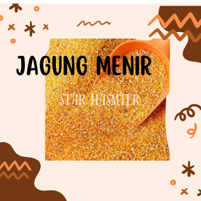 

Jagung Menir - jagung kecil - jagung pakan hewan