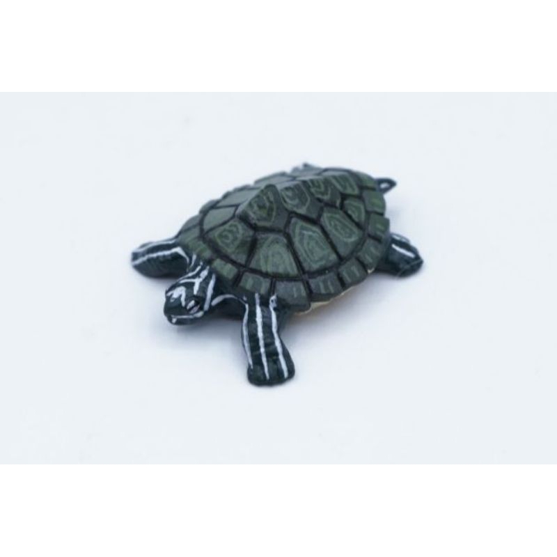 Cagles Map Turtle Tortoise Kura Pajangan Koleksi Figure Binatang Animal Collection