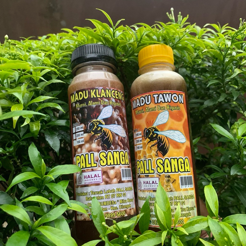 

Madu Tawon Pall Sanga 250ml 100% ASLI