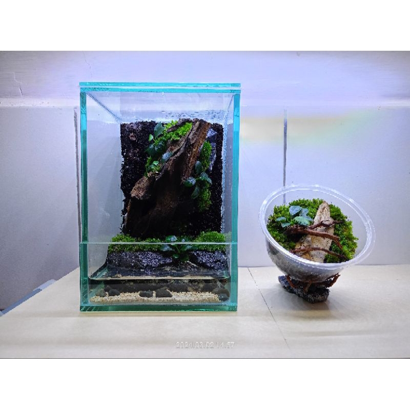 Paludarium mini