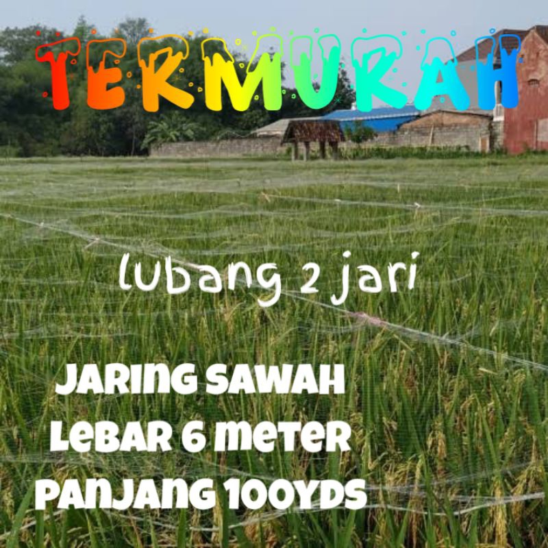 jaring sawah lubang 2½/2 jari longgar lebar 6 meter panjang 100yds jaring padi jaring burung jaring 