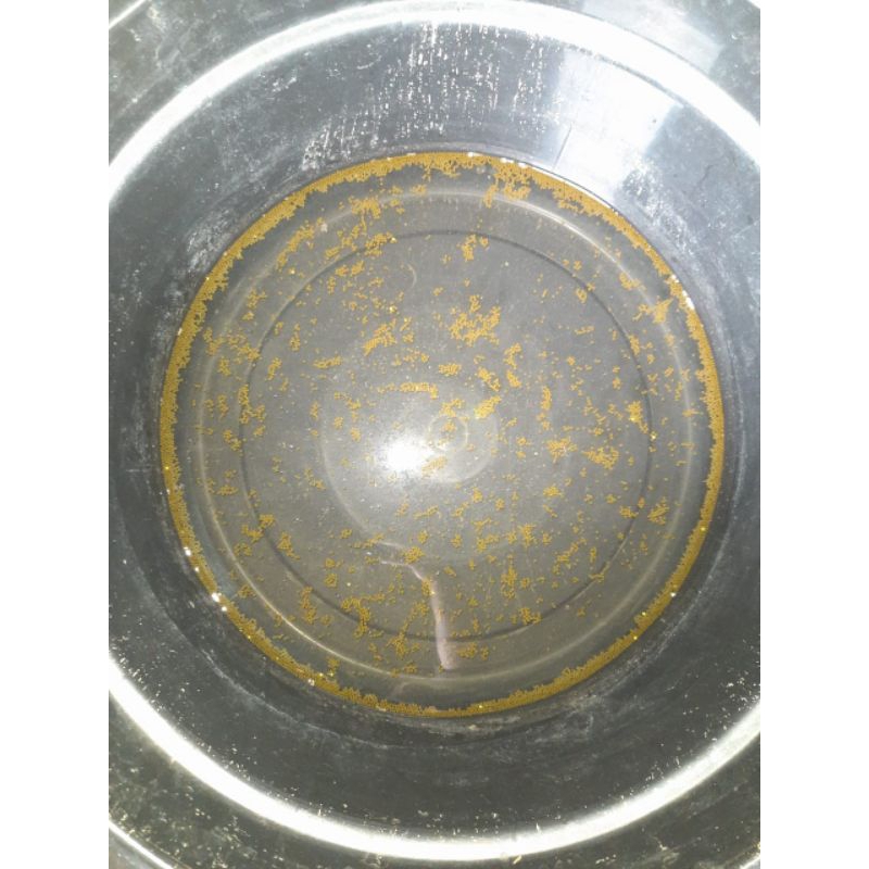 

Telur gurame Padang paketan hemat per1000 butir