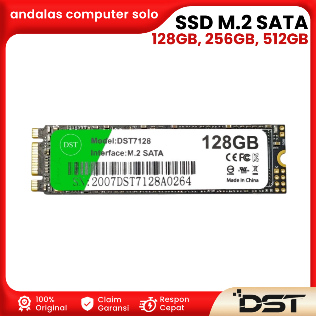 SSD INTERNAL DST M.2 SATA 128GB 256GB 512GB