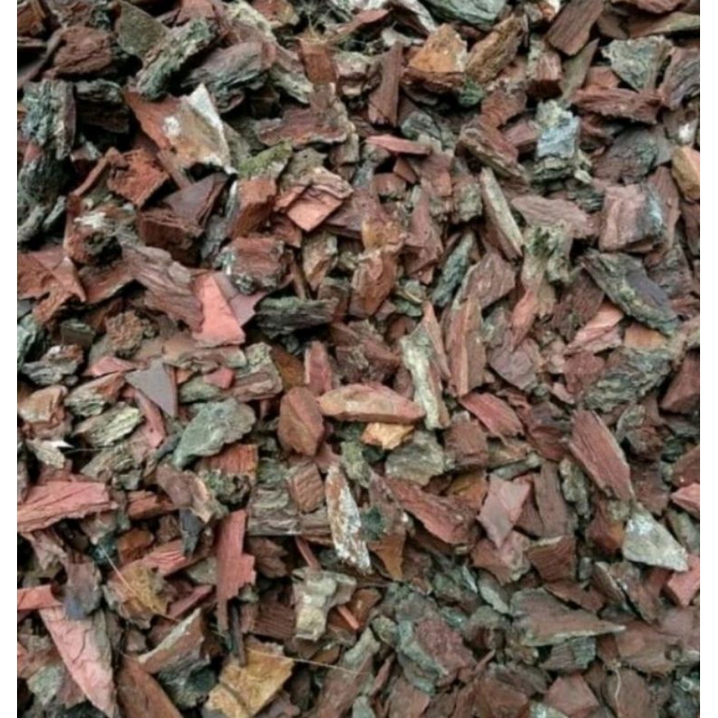 kulit kayu pinus media tanam,500 gram anggrek pina bark. kulit pinus cacah