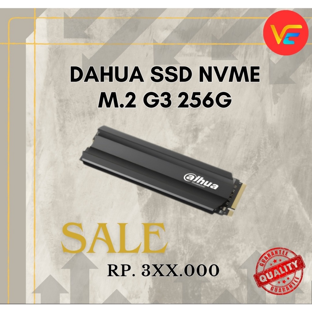 SSD Dahua NVME G3 256GB