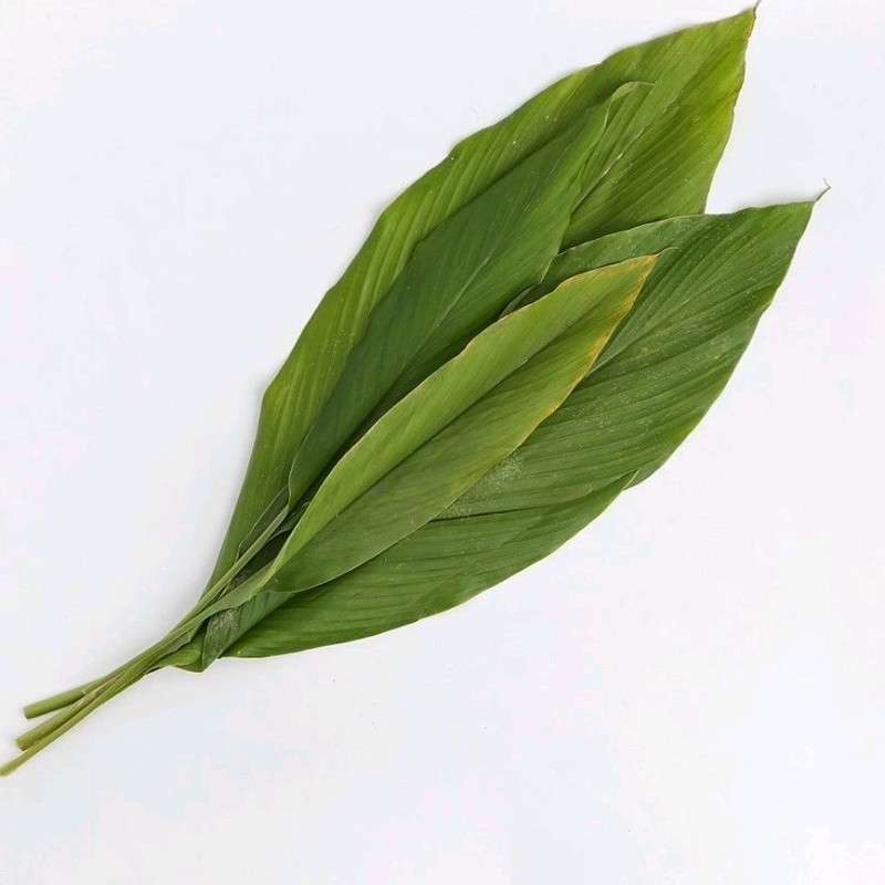

Daun Kunyit