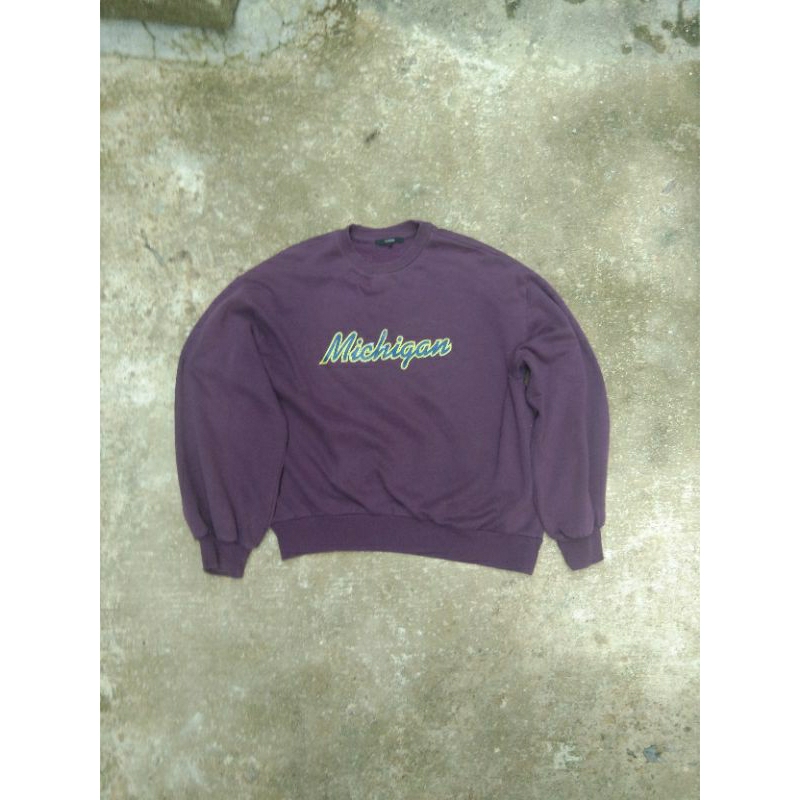 Crewneck Michigan