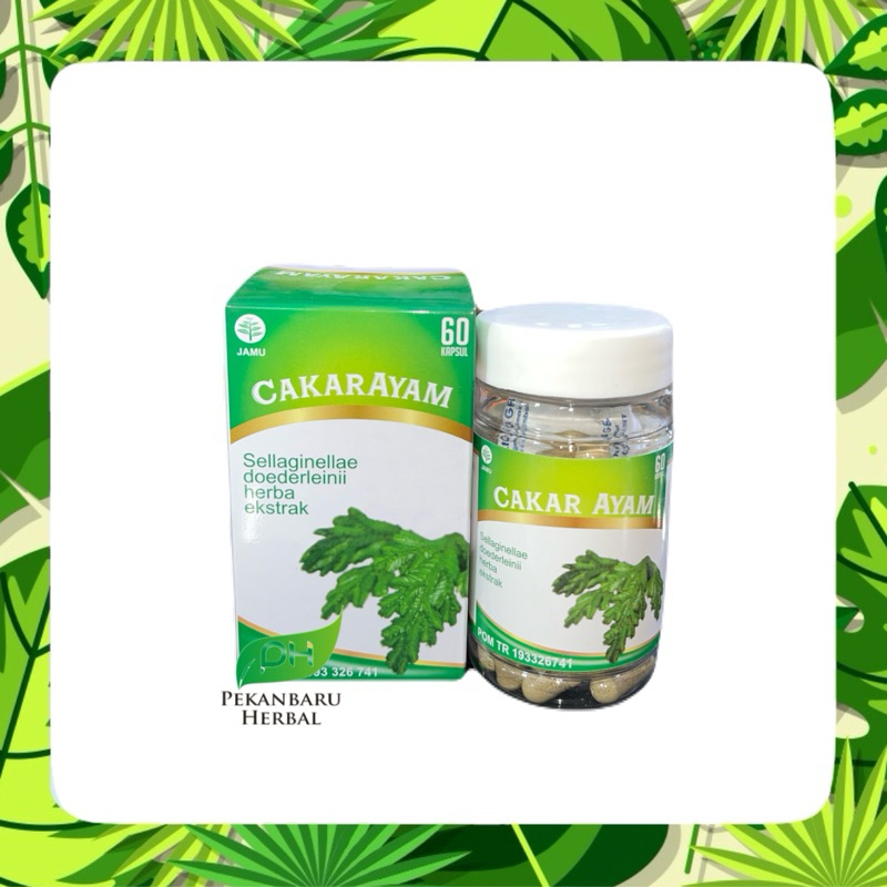 Herbal Cakar Ayam | Kapsul Cakar Ayam Original | Kapsul Cakar Ayam Al Afiat 60 kapsul