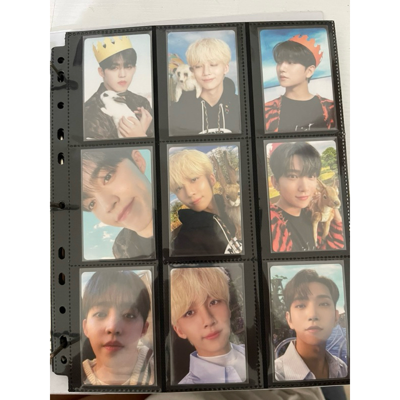 DICON 102 SEVENTEEN MEMBERSET