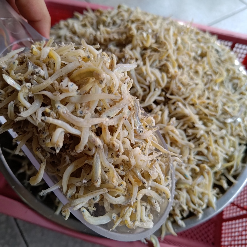 

Ikan Asin Teri Medan 50gr / Ikan Asin Teri Nasi / Kang He Oleh Oleh Pontianak