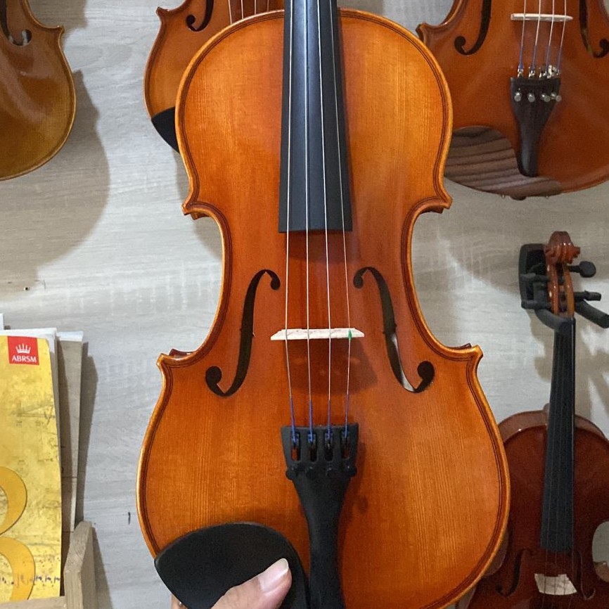 Biola Samuel Eastman VL100 - Violin Samuel Eastman VL100