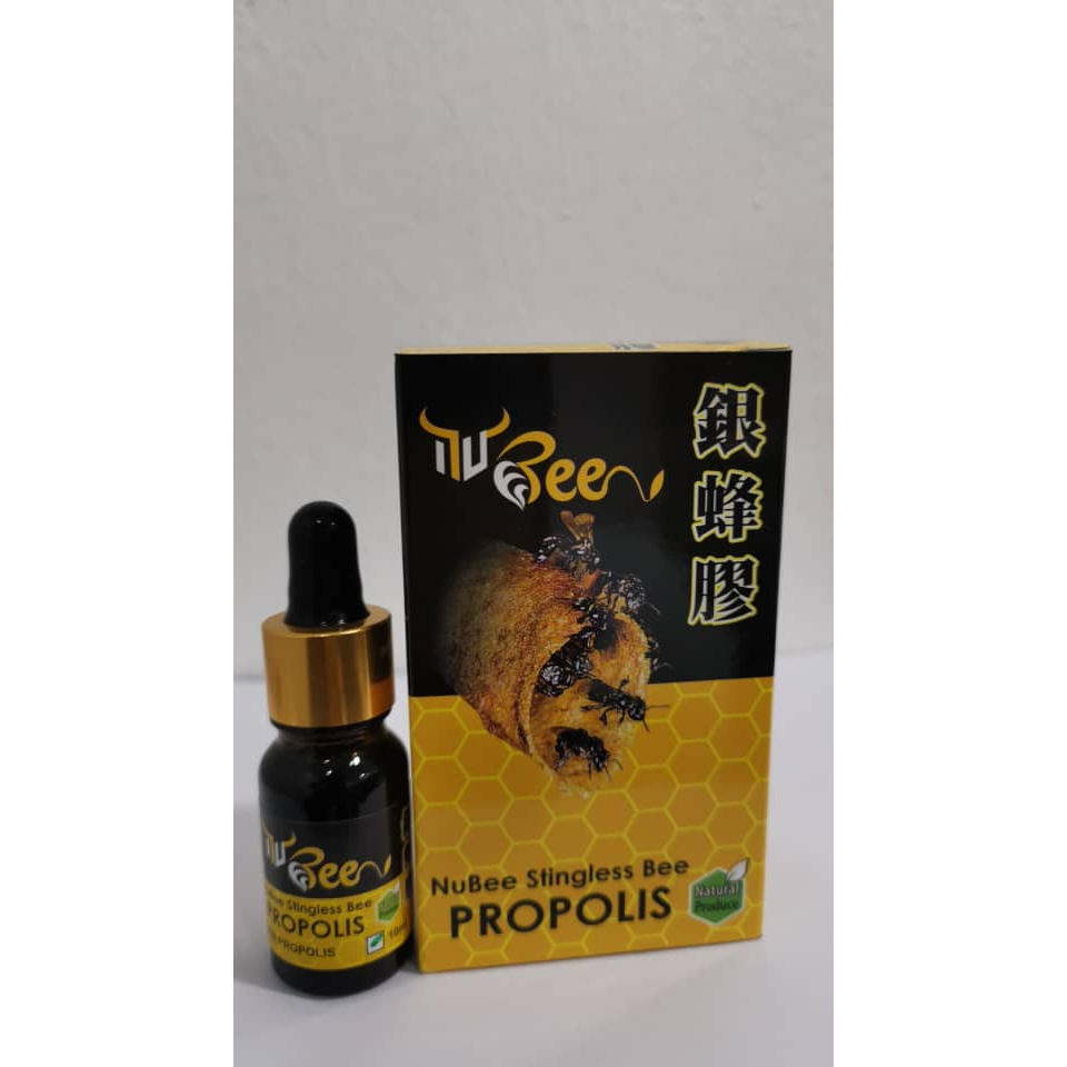 

Stingless Bee Propolis