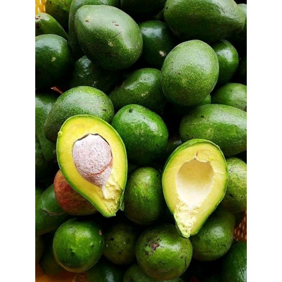 

Alpukat Japan Muria Kudus 1 Kg