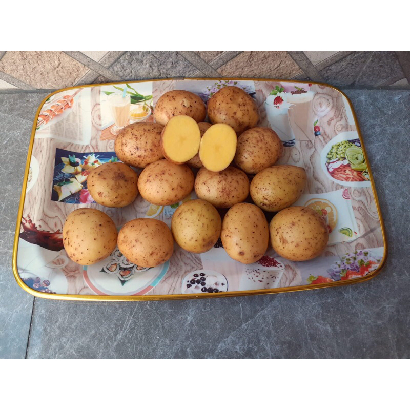 

Kentang Dieng Daging Kuning Kualitas Premium Bersih Sudah Cuci Berat 1KG