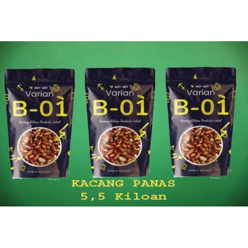 

kacang goreng lokal pedas B01 500 gr