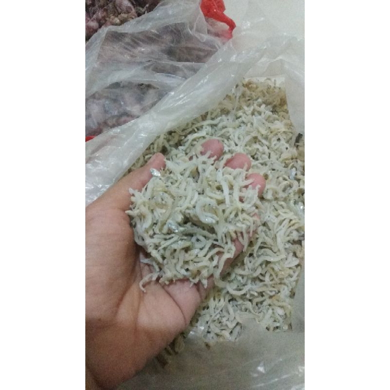 

teri Medan jenis ke 3