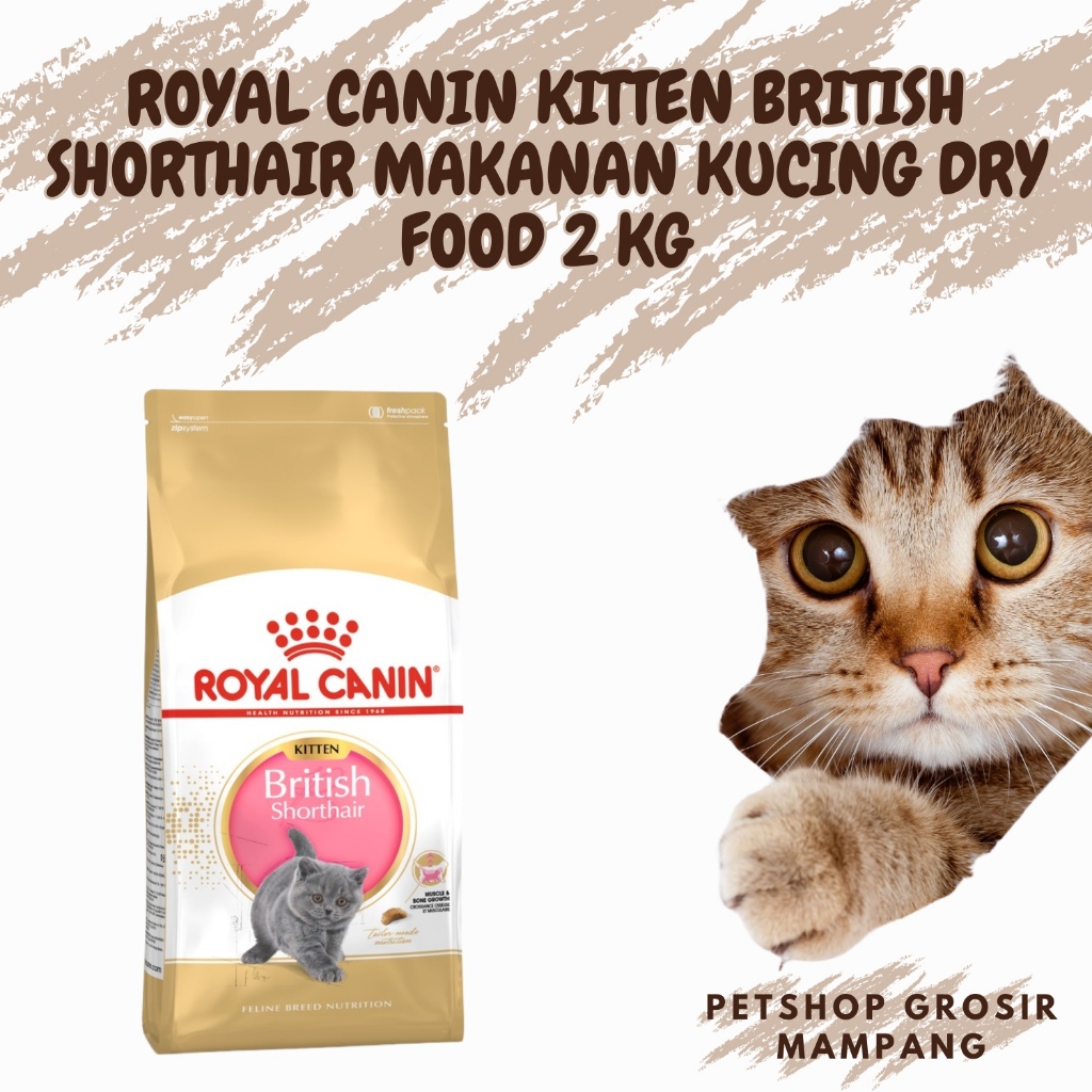 Royal Canin Kitten British Shorthair 2kg Makanan Kucing Dry Food