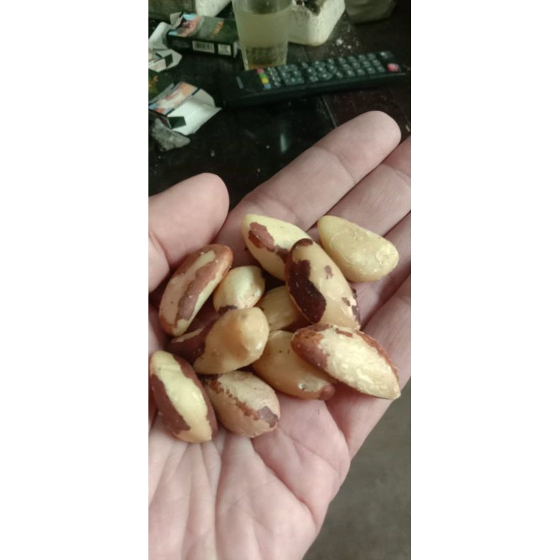 

kacang brazil cuci gudang