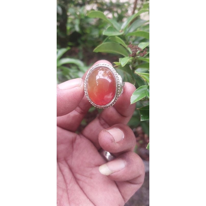 batu akik sulaiman madu lawasan