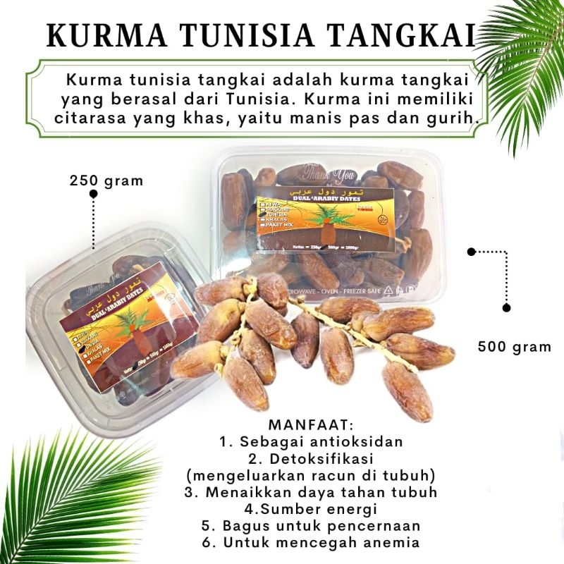 

Kurma Tunisia Tangkai