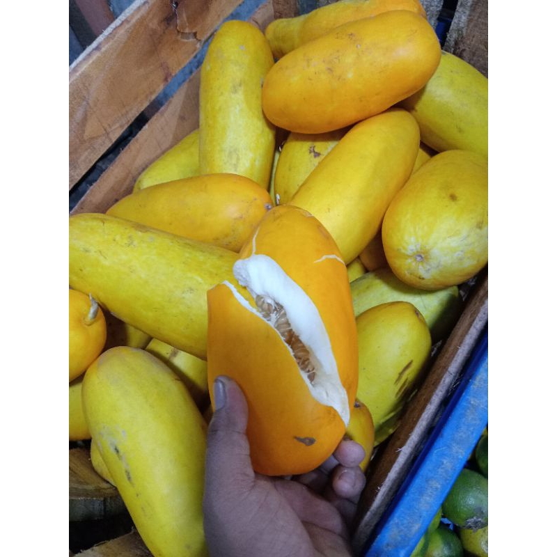 

Buah timun suri(1buah)