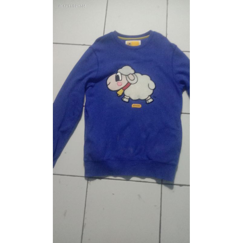 Hodie pancoat original