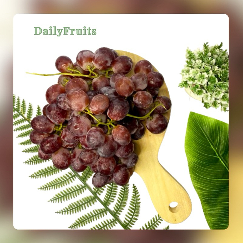 

AnggurMerah Red Globe Fresh Import Chinese | DailyFruits