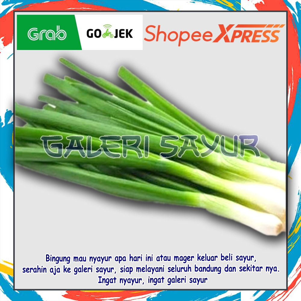

KIRIM INSTAN Bawang Daun Segar - Galeri Sayur