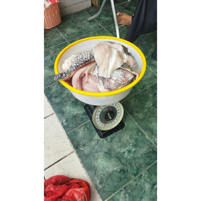 

ikan gurame fillet 1 kg