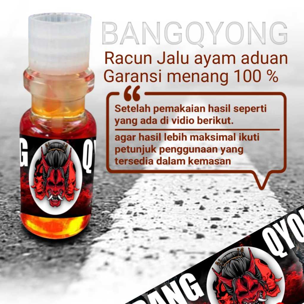 ayam bangkok murah racun jalu bangqyong doping jago tarung