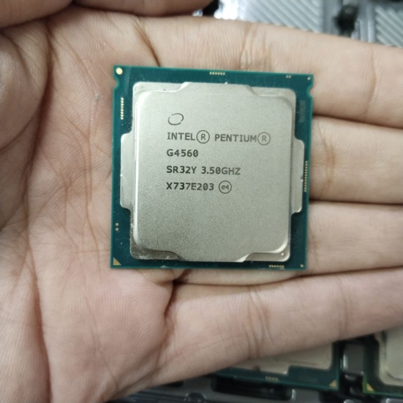 Prosesor Intel Pentium G4560 3,50 GHz Tray