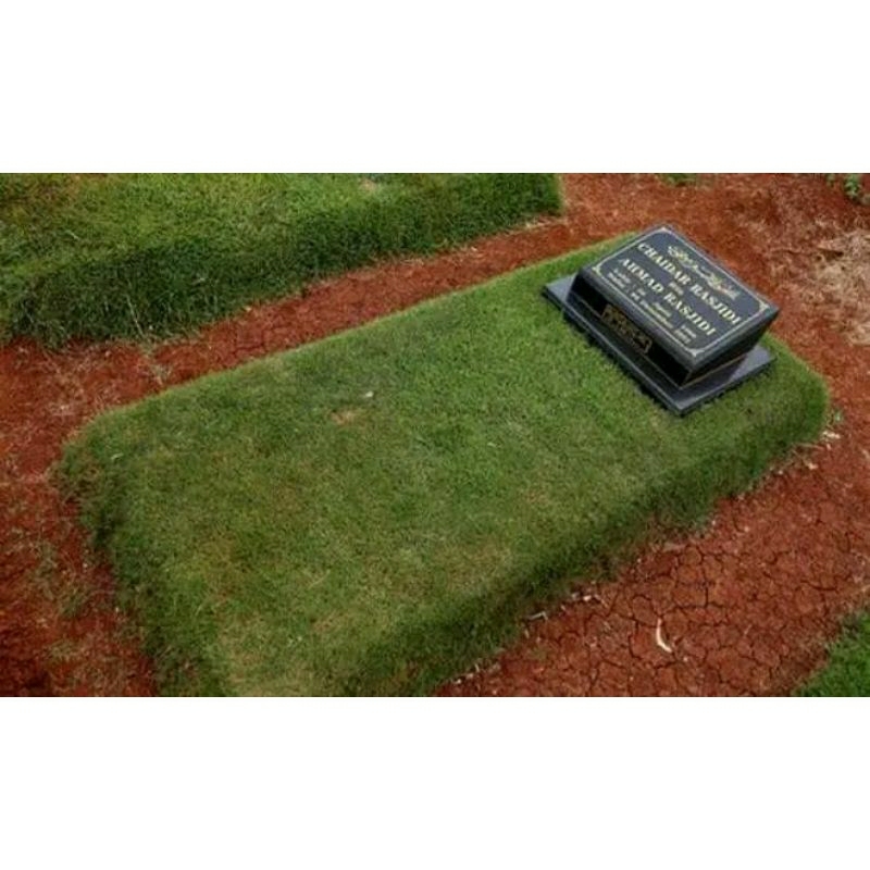 jasa tanam rumput makam