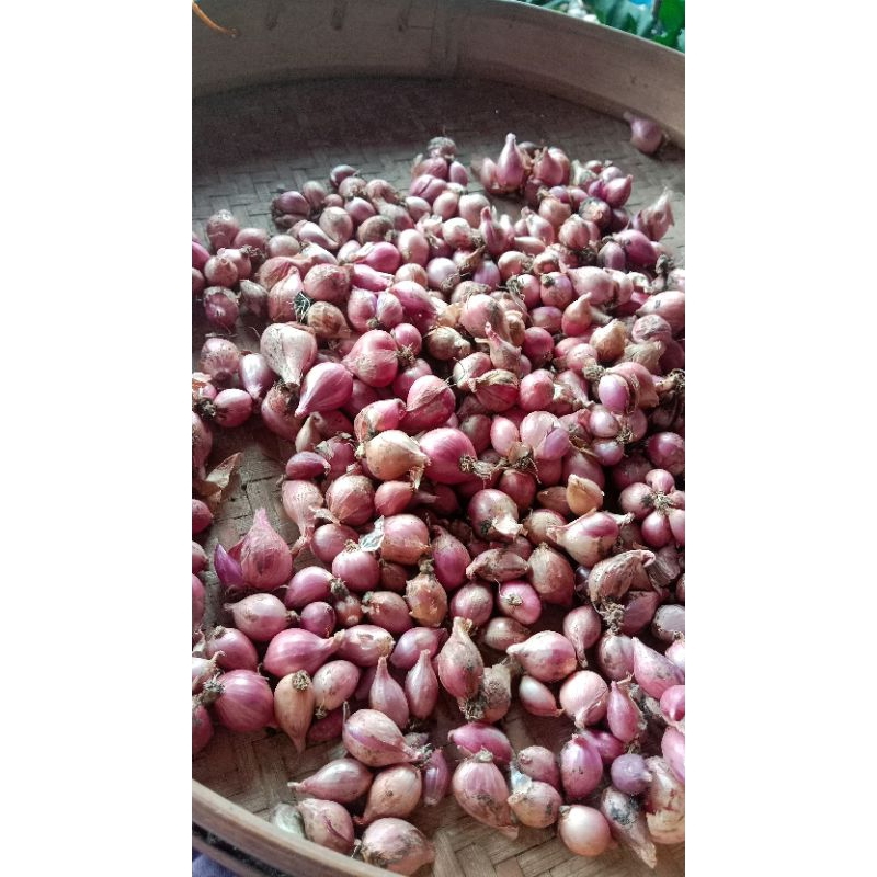 

bawang merah 1kg