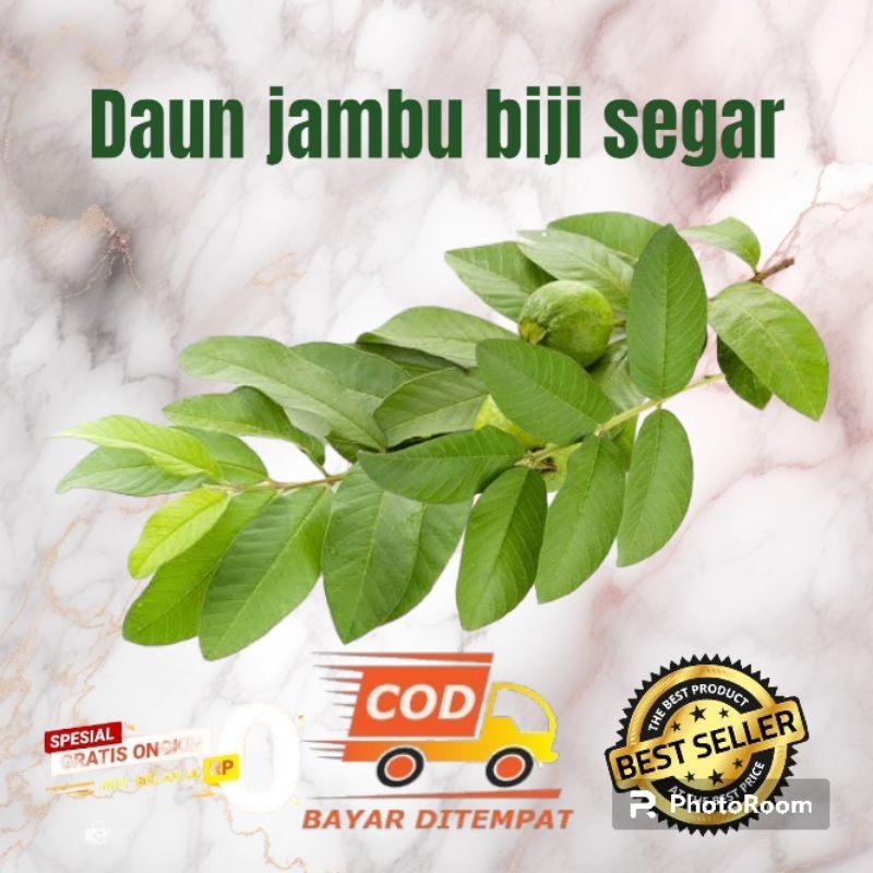 

daun jambu biji segar kemasan 100g